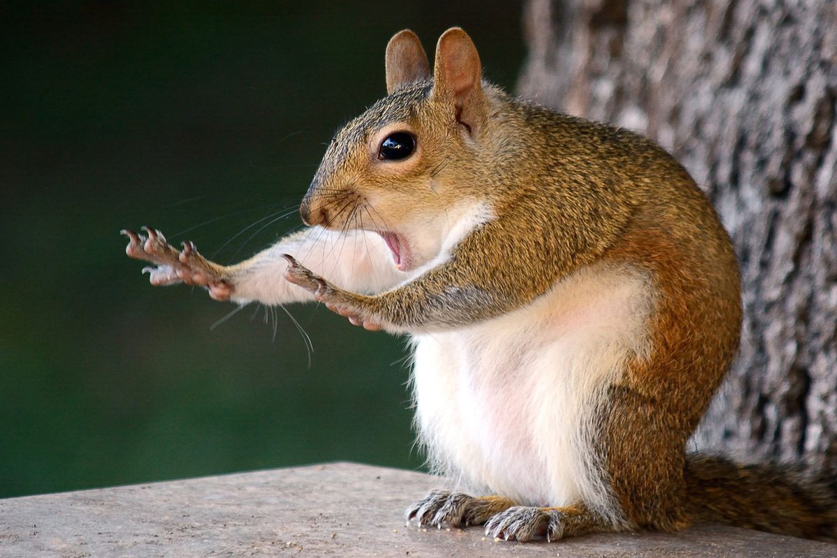 Author photo